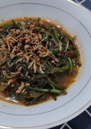 Foto resep Tumis Pakis Tabur Teri