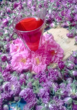 عکسی از دستور چای با عطر گل محمدی🌹🌹
