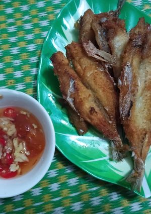 Hình của món Cá mối chiên chấm mắm gừng.