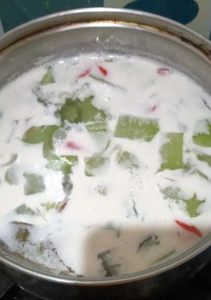 Foto resep Sayur lodeh labu siam cemplung cemplung