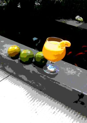 Foto resep Diet orange juice