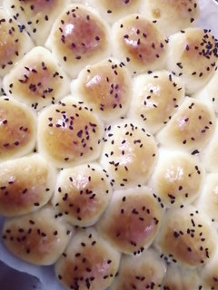 صورة لوصفة خلية النحل