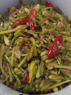 Foto resep Tumis kembang pepaya