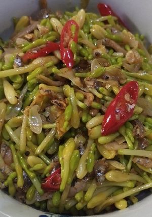 Foto resep Tumis kembang pepaya