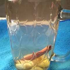 รูปของ Wedang Jahe Kayu Manis