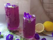 Gambar minuman bunga telang