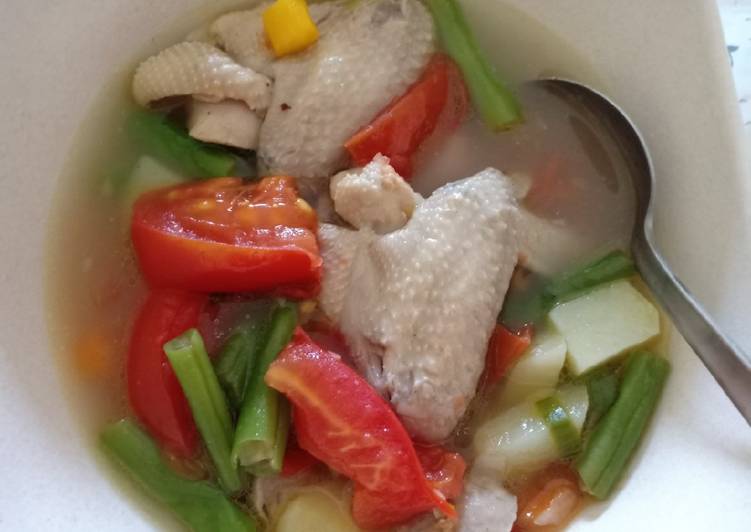 √ Masakan Sop Ayam / Cara Membuat Sop Ayam Kuah Spesial Sedap Mantap