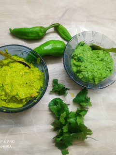 ગ્રીન ચટણી(Green Chutney Recipe in Gujarati) રેસીપી મુખ્ય ફોટો