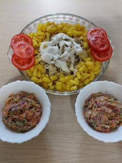 عکسی از دستور چیکن استراگانف