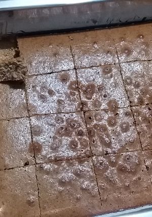 Una foto de Queque de chocolate  falso