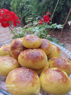 عکسی از دستور کلوچه خرمائی