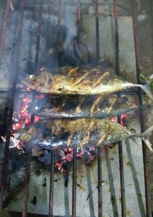 Foto resep Ikan bakar cakalang