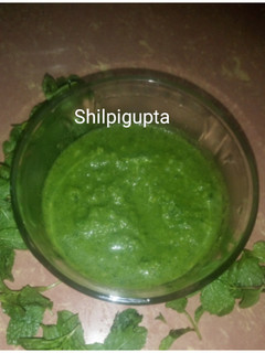 चटपटी खट्टी पुदीना चटनी (chatpati khatti pudina chutney recipe in hindi) रेसिपी मुख्य फोटो