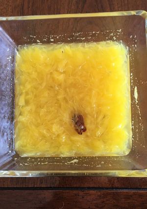 Una foto de Compota de naranja