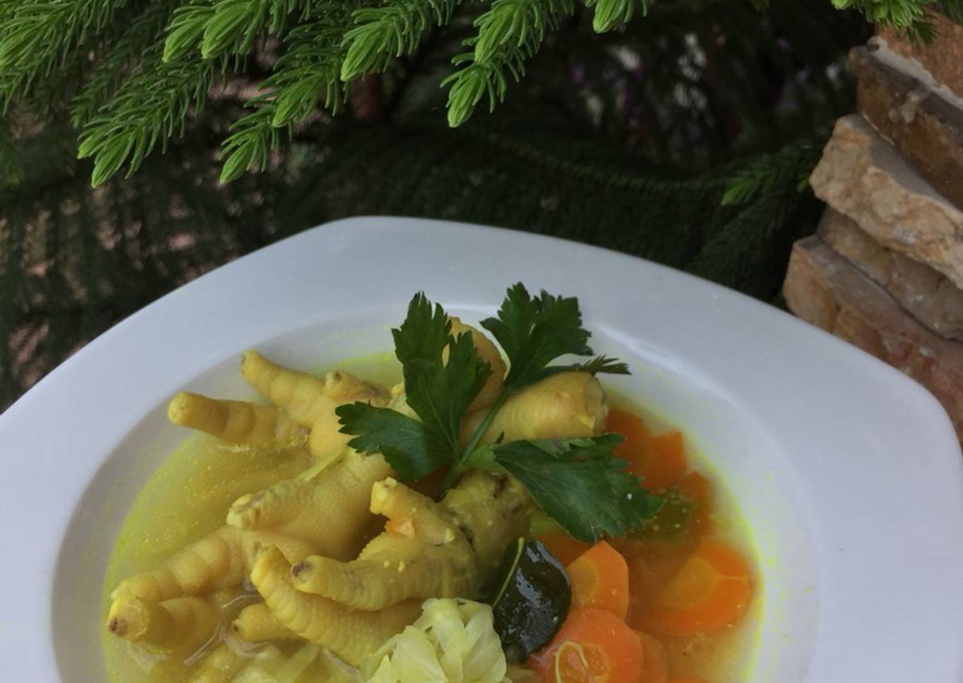 Soto Ceker