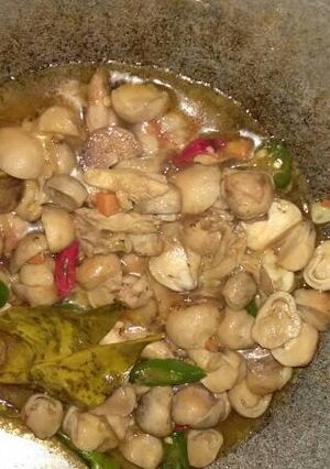 Foto resep Tumis Jamur Ayam