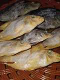 Ikan asin rumahan