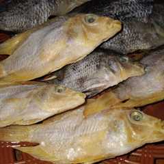 A picture of Ikan asin rumahan.