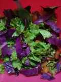 Ensalada color con mung🎆