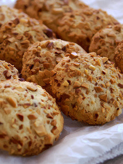A picture of Easy! Crunchy Almond Cookies.