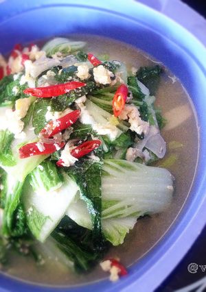 Foto resep Ca Sawi Putih dengan Telur
