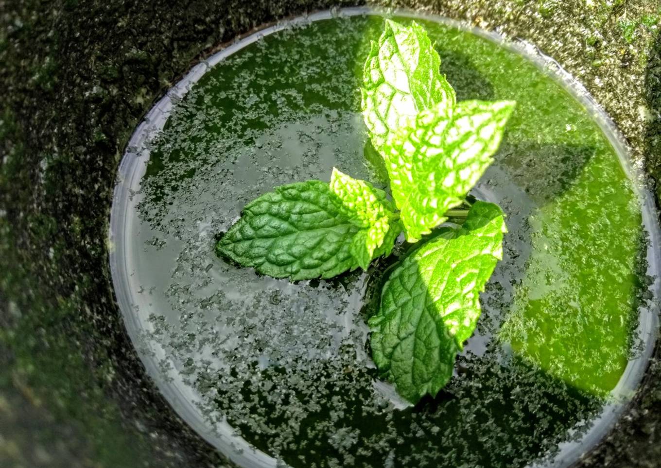 Mint sauce lime secret shhhhh!!!