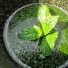 A picture of Mint sauce lime secret shhhhh!!!.