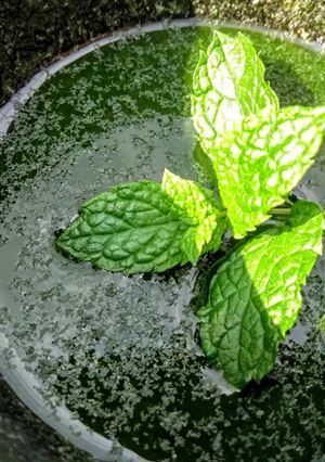A picture of Mint sauce lime secret shhhhh!!!.