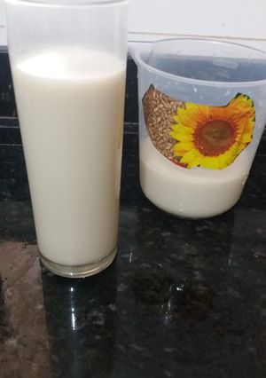 Foto de Leite de girassol 🌻
