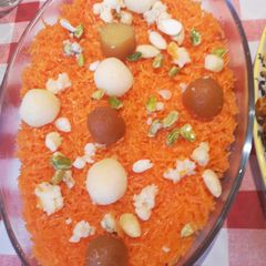 A picture of Zarda.