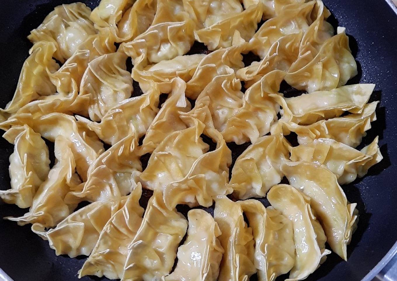 Gyoza / dumpling