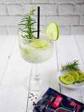Gin Tonic Time