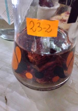 Una foto de Licor de carozos de duraznos