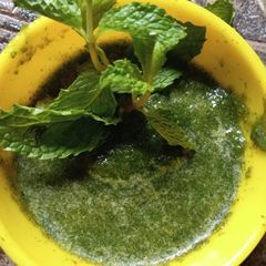 A picture of Pudina chutney.
