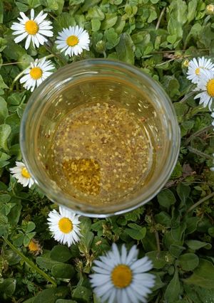 Une photo de 🌻 Vinaigrette à la moutarde à l'ancienne