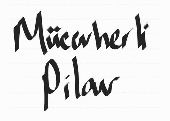 Recipe of Favorite Mücevherli pilav