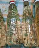 Vinagre de sidra con hierbas