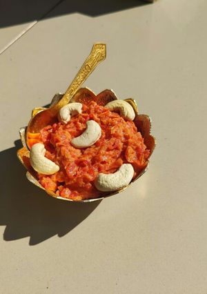 ગાજરનો હલવો (Gajar Halwa Recipe In Gujarati) રેસીપી મુખ્ય ફોટો