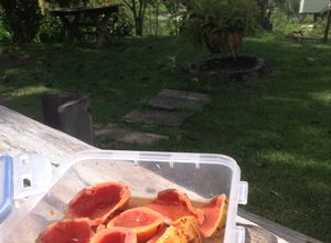 Una foto de Coquitas de guayaba almibaradas en salsa dulce