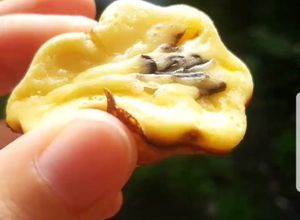 Foto resep Kue Cubit Abang abang