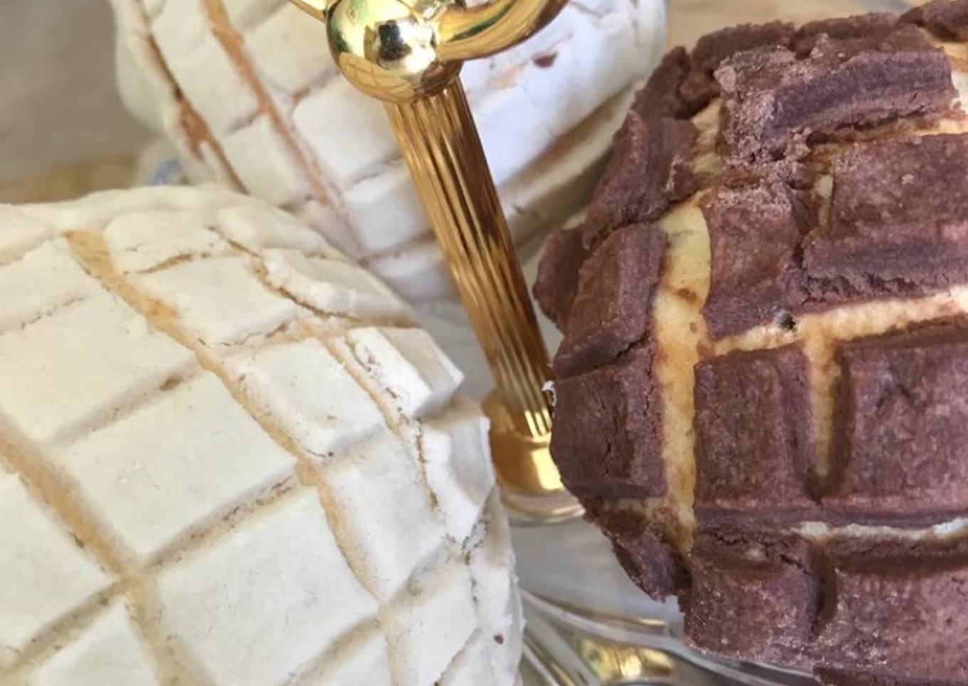 Conchas blanco y negro đ€