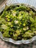 Salade Feuille de Chêne aux Oignons Nouveaux et Persil Plat
