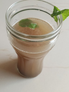 જલજીરા ફુદીના લીંબુ શરબત (Jaljira Pudina Limbu Sharbat Recipe In Gujarati) રેસીપી મુખ્ય ફોટો