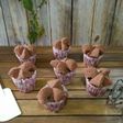 Bolu Kukus Coklat