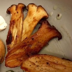 Pan Fried Eringii Mushrooms A picture of Pan Fried Eringii Mushrooms.