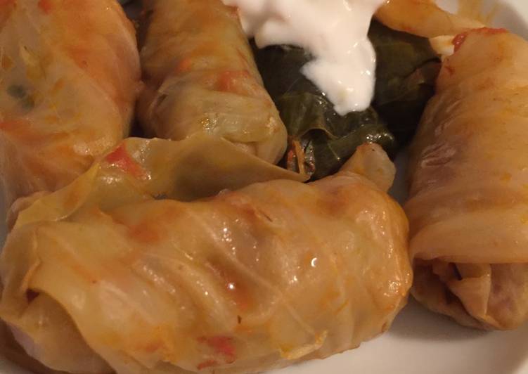 Step-by-Step Guide to Prepare Award-winning Stuffed Cabbage