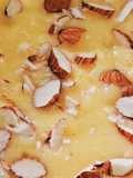 Alphonso Mango delight