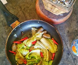 Resep Terbaru Tumis sawi putih pedas Enak Bergizi Resep Terbaru Tumis sawi putih pedas Enak Bergizi