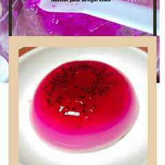 A picture of Puding buah naga merah snack mpasi 6mo.