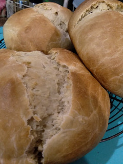 Una foto de Pan de campo semi integral